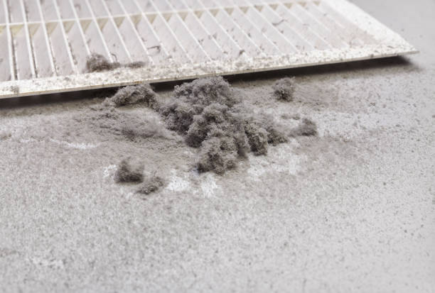 Best Air Duct Cleaning Near Me  in Portage, IN